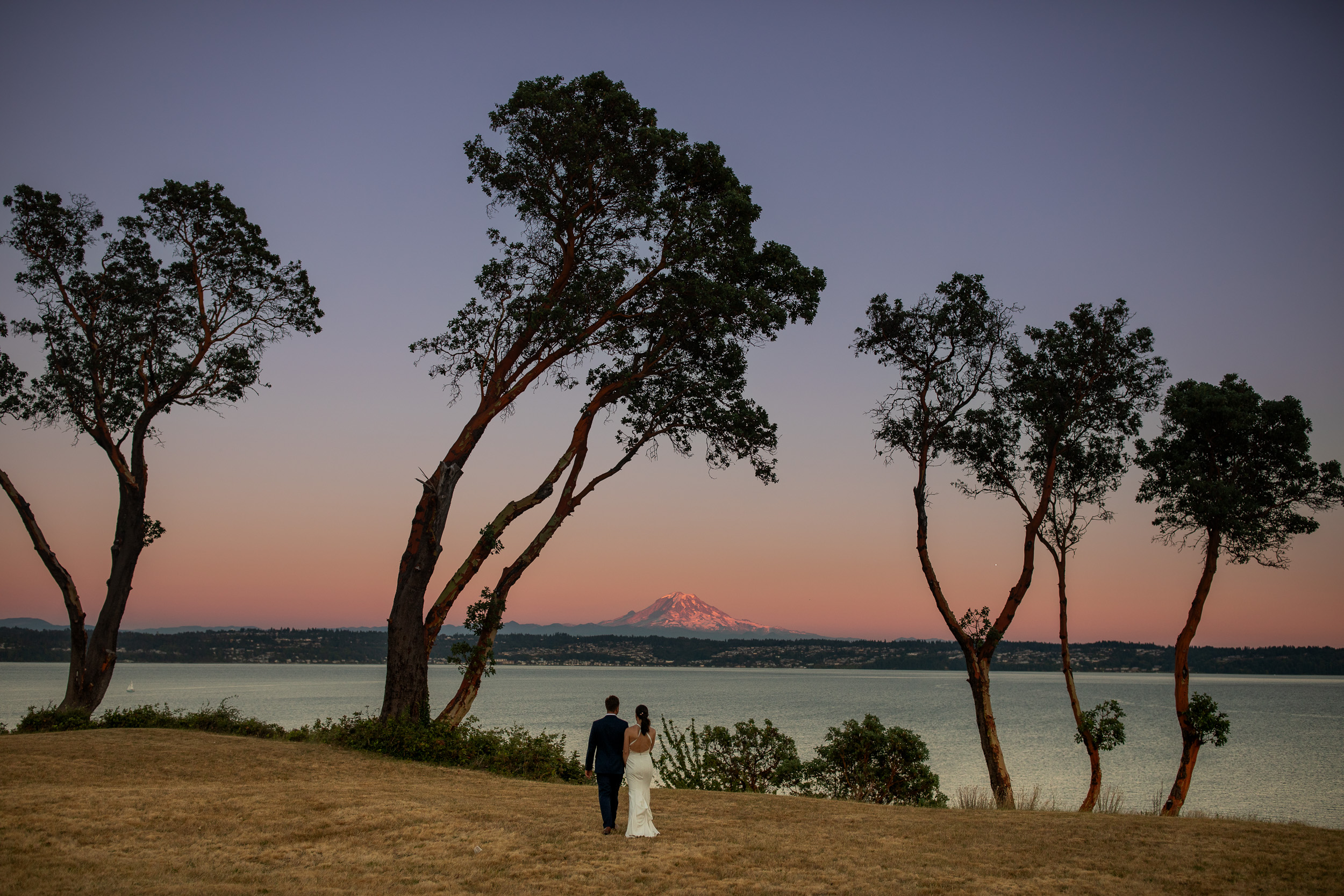 Bride and Groom standing in a field with Mount Rainier visible in the background