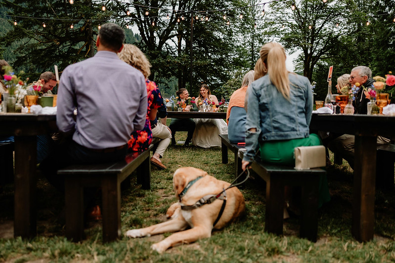 Seattle wedding reception with bride and groom sitting at head table.